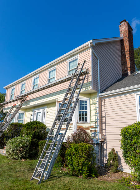 Best Brick Veneer Siding  in Hopkins, MN