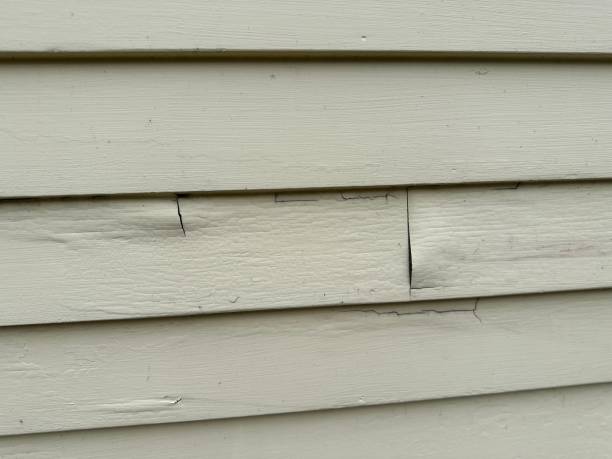 How To Choose The Right Materials for Your Siding Installation in 'Hopkins, MN